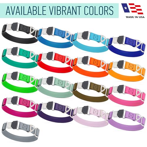 Biothane Waterproof Dog Collar with Herm Sprenger Black Stainless Steel Quick Release Buckle (W 3/4" x L 12"-19" / Sage Green)