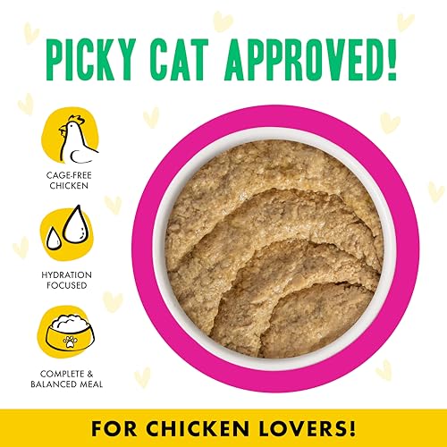 B.F.F. Play Best Feline Friend Paté Lovers (3 Ounce (Pack of 12))