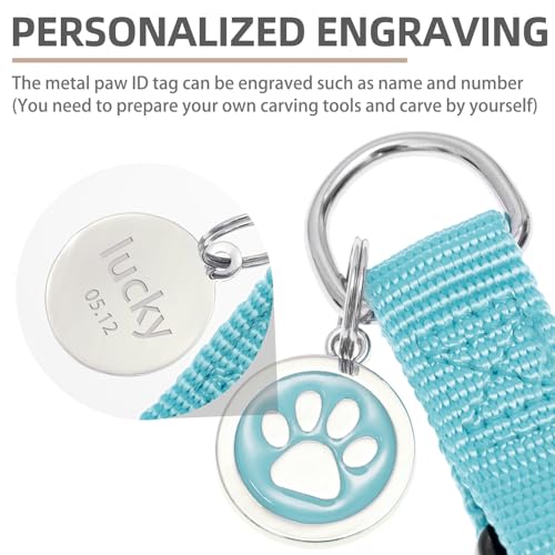 No Pull Dog Harness Large Sized Step (Light Blue / Large)