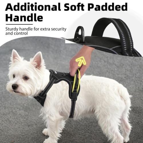 No Pull Dog Harness Small Sized (Black / X-Small)