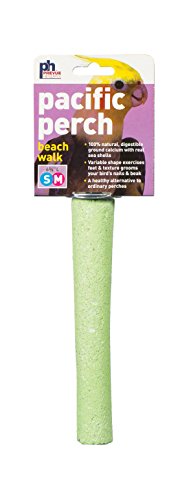 Pacific Perch Beach Walk Medium (Medium)