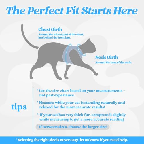 Cat Harness and Leash Set (M / Light Blue)