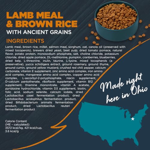 Sensitive Premium Dry Dog Food (Lamb Meal & Brown Rice with Ancient Grains / 4.5 Pound (Pack of 1))