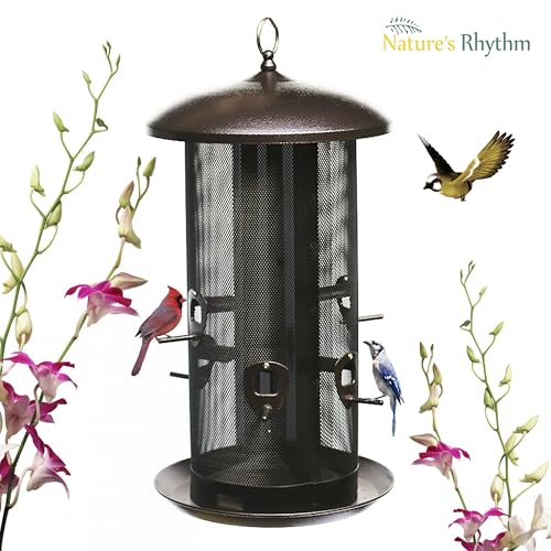 Metal Hopper Bird Feeder Two Chambers