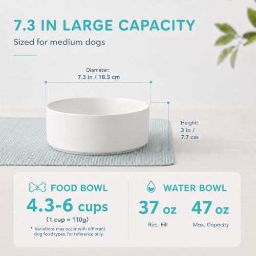 Ceramic Dog Bowls (Matte White)