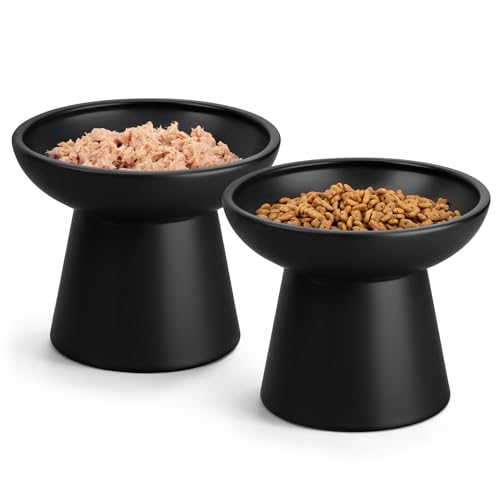 2 Pack Elevated Cat Food Bowls (Black)