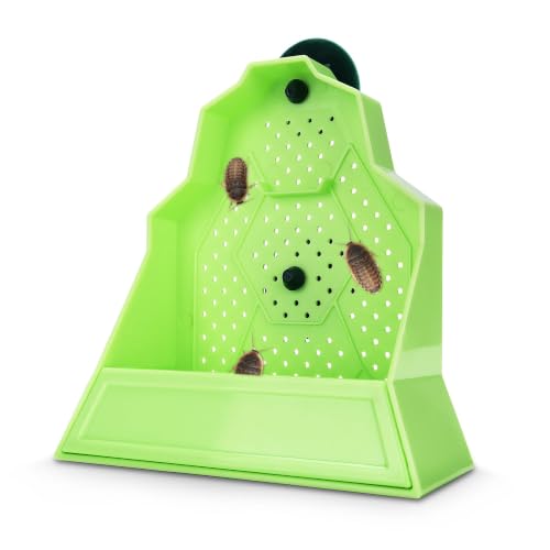 Reptile Anti Escape Feeding Bowl (Wall-Mounted Feeding Bowl / Small)