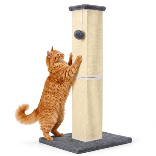 Cat Scratching Post for Indoor Cat (Grey)