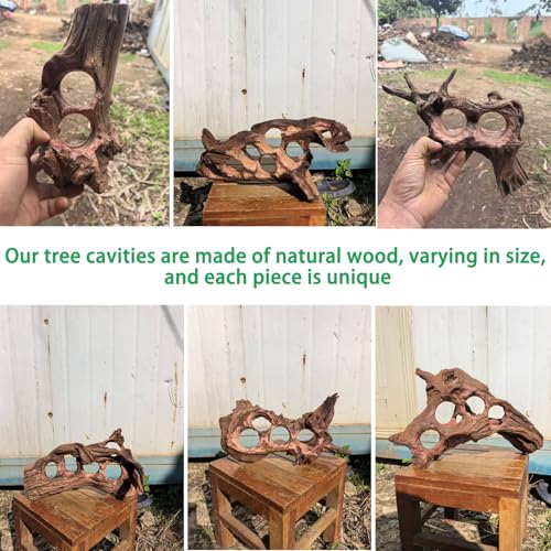 Driftwood for Aquarium Natural Aquarium Wood for Aquascaping Fish Tank Decorations Reptile Tank Decor (11''-15")