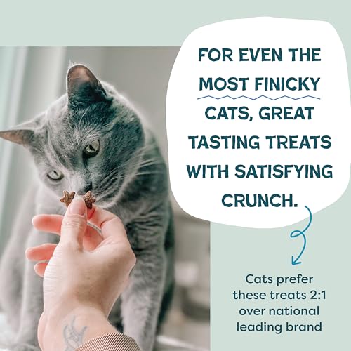Crunchy Cat Treats (2.5 Ounce (Pack of 1))