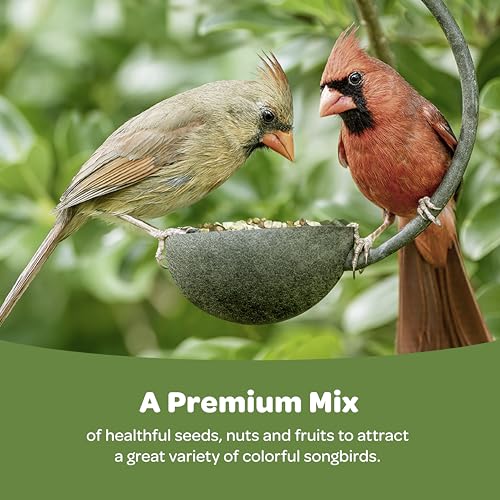 Ultimate Birder's Blend Food (10 Pound (Pack of 1) / Birder's Blend)