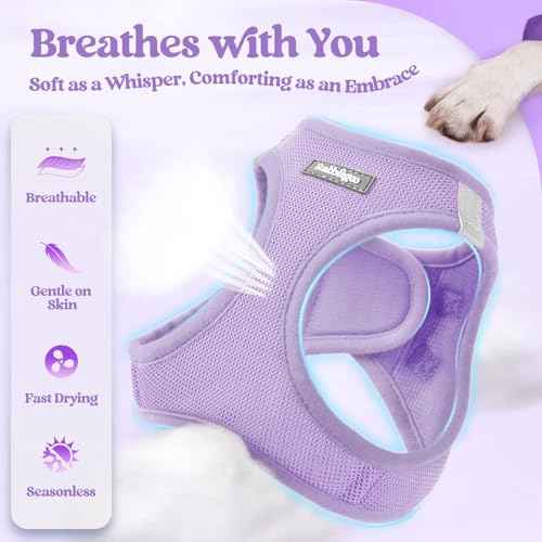 Dog Harness Medium Sized and Leash Set (Light Purple / Xxl (chest: 21.6 - 23.7"))