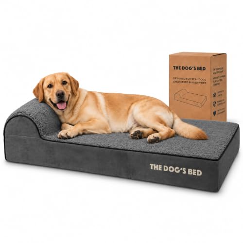 The Dog’s Bed Orthopedic Memory Foam Dog Bed with Headrest Large (Grey Plush / L (40"L x 25"W x 6"Th))