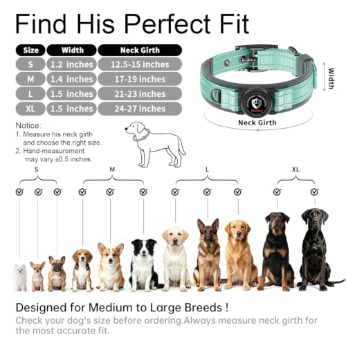 Heavy Duty Dog Collar with AirTag Holder (Cyan / L (21-23in Neck))