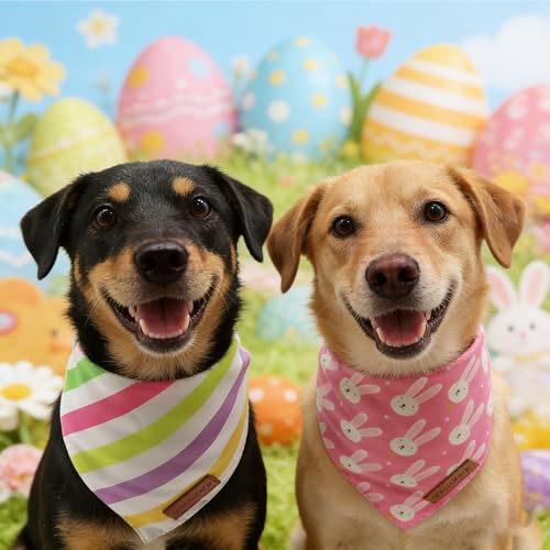 Easter Dog Bandanas 2 Pack (Easter / Large)