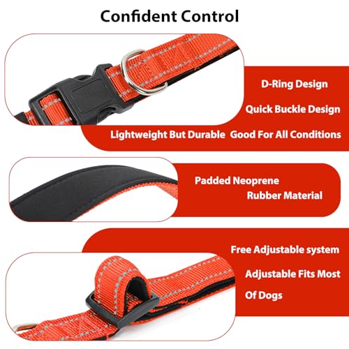 Reflective Dog Collar (Tangerine / XS:width 5/8"neck 8-10.5")