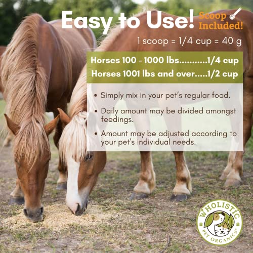 Horse Supplement for Total Body Health