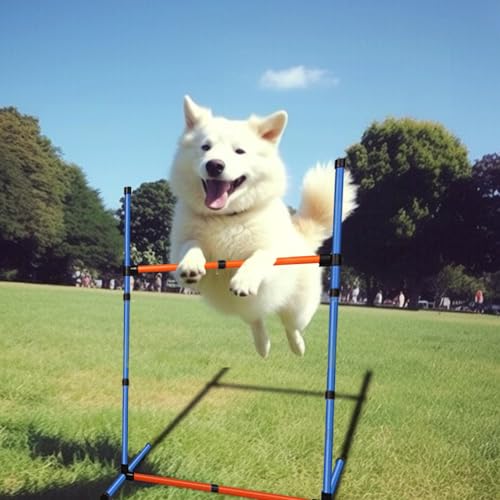 Dog Agility Equipment Set