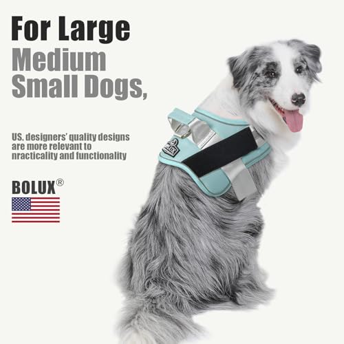 Dog Harness No (Medium (Pack of 1) / BabyBlue)