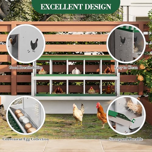 10 Hole Chicken Nesting Box with Roll Out Egg Tray