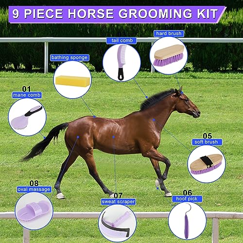 Horse Grooming Kit (Purple)