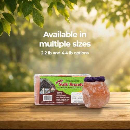 Himalayan Salt Block on Rope for Horses (2.2 Pound (Pack of 1))