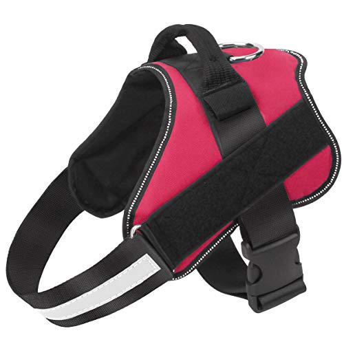 Dog Harness No (Large (Pack of 1) / Red)