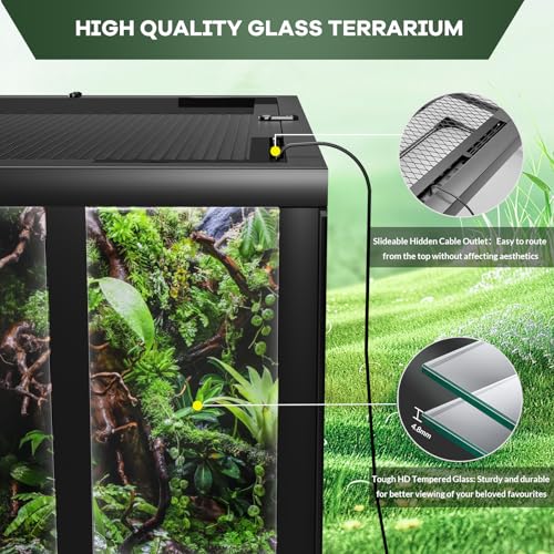 24" X 18" x 18" Reptile Tall Glass Terrarium Rainforest Habitat Double Hinge Door with Screen Ventilation 34 Gallon Reptile Terrarium Easy Assembly for Lizard Tortoise Snake (24x18x18 inch)