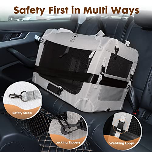 Extra Large Cat Carrier for 2 Cats