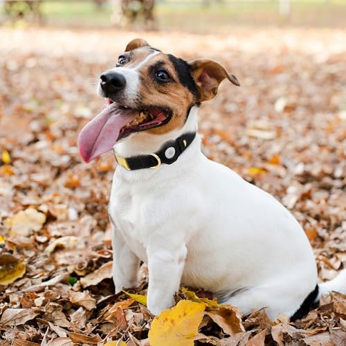 Leather Airtag Dog Collar (Black / L, 17"-21" Neck Fit)