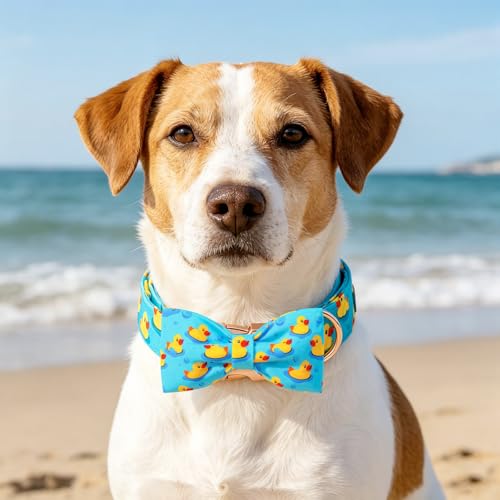 Boy Dog Collar (Duck / X-Small (Pack of 1))