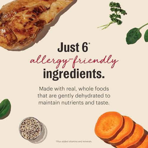 Wholemade 6 Ingredient Whole Grain Chicken Recipe (10 Pound (Pack of 1))