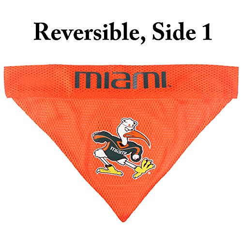 Collegiate Pet Accessories (Small/Medium / Miami Hurricanes)