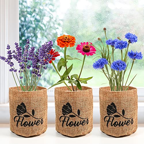 Indoor Daisy Garden Starter Kit with Gardening Tools