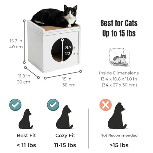 Meowdium Cat House for Indoor Cats (White)
