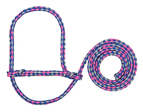 Poly Rope Sheep Halter (Royal Blue/Coral/Gray)