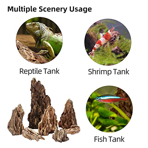 Dragon Ohko Stone 16lb Large Aquarium Rocks for Fish Tank Decor (01 Dragon(Ohko) Stone(2-8inch,16lbs))