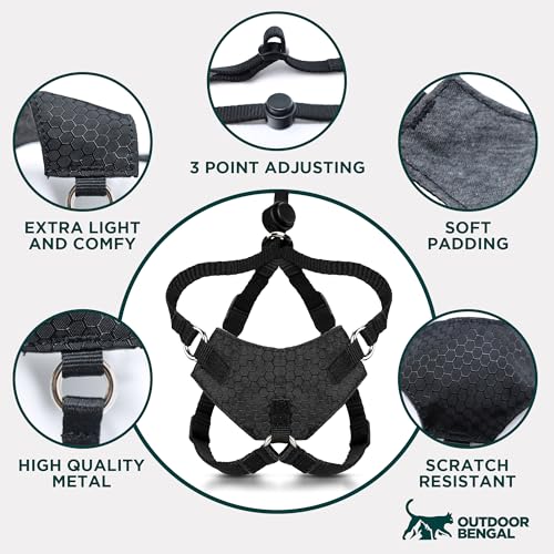 Houdini™ Escape Proof Kitten Harness + Leash (Multicolor / S)