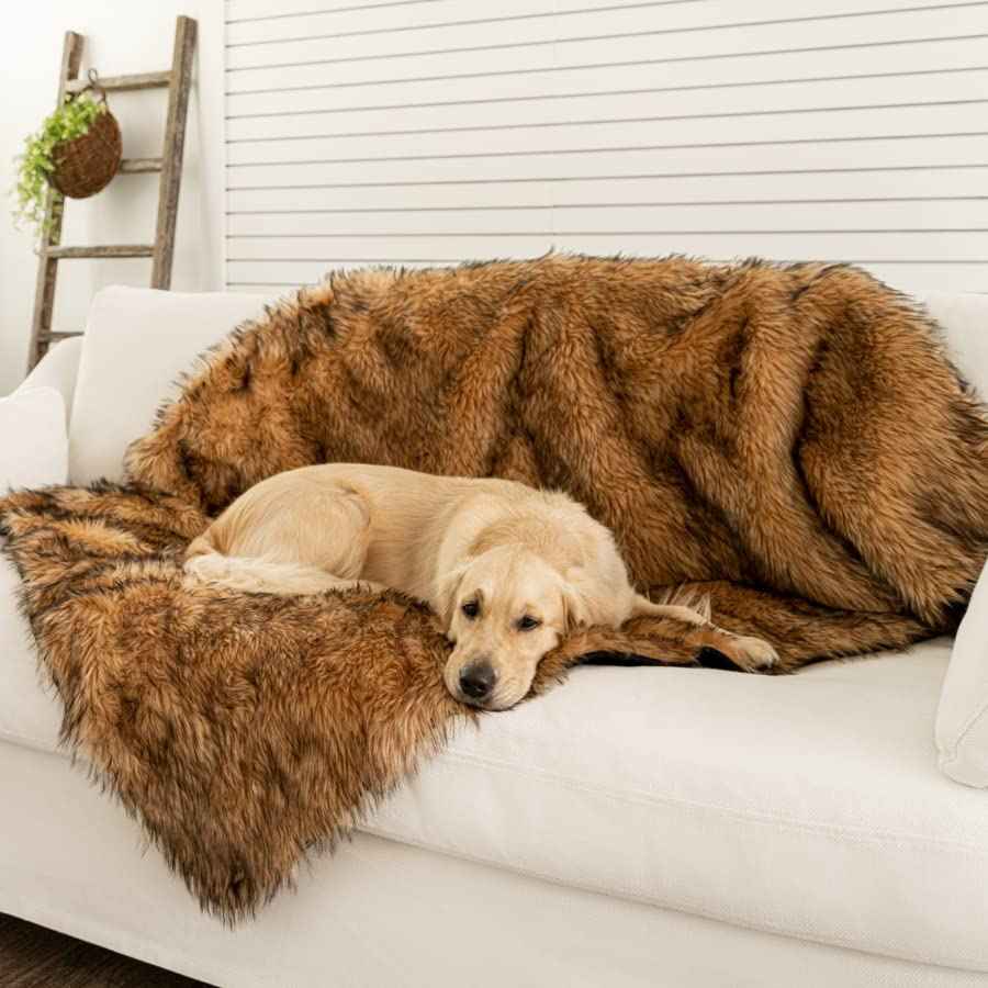 PupProtector Waterproof Throw Blanket (Sable Brown / Original (60" L x 50" W))