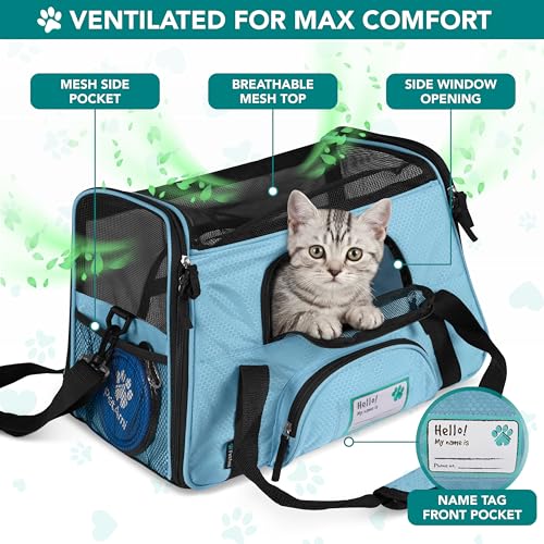 Airline Approved Pet Carrier for Cats & Small Dogs (Light Blue / 19.5"L x 10.2"W x 12.0"H)