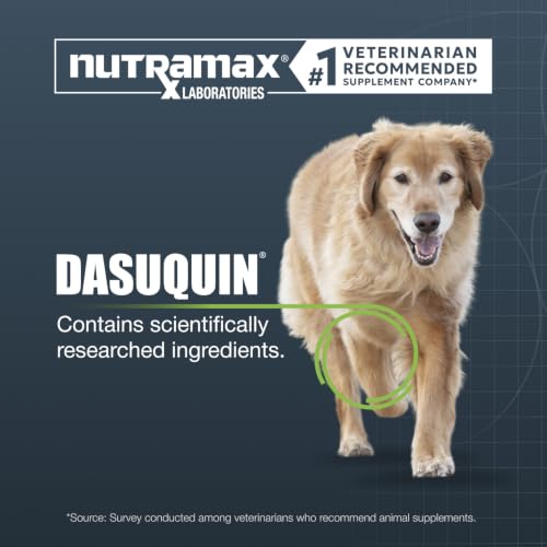 Nutramax Dasuquin Senior Joint Supplement for Large Dogs Soft Chews 84ct (Large Dog)