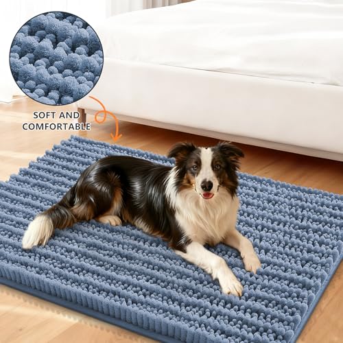 Dog Door Mat for Muddy Paws 34x21 (Layered-Airy Blue / 34"X21")