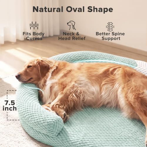 XXL Orthopedic Dog Beds (Green / XXL(48"x 35"x 7.5"))