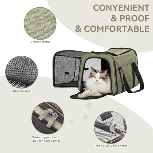19"X12" X12" Expandable Pet Carrier (19.0"L x 12.0"W x 12.0"H / Green)