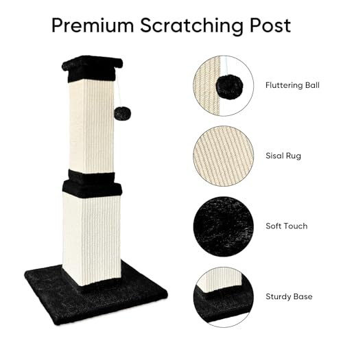 Cat Scratching Post for Indoor Cats (Black and White)