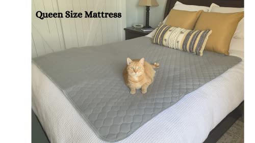 60x60 Potty Pads (60" x 60" / Gray 1 Pack)