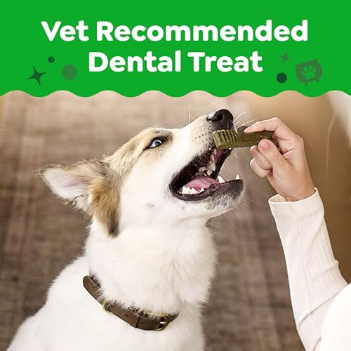 Regular Natural Dental Dog Treats (12 Count (Pack of 1))