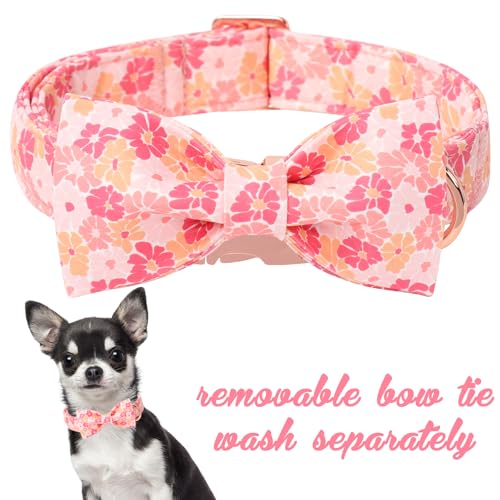 Cartoon Dog Collar with Bow Spring Summer Puppy Collar with Flower for Small Medium Large Boys Girls Dogs (M / Spring Flower bow)
