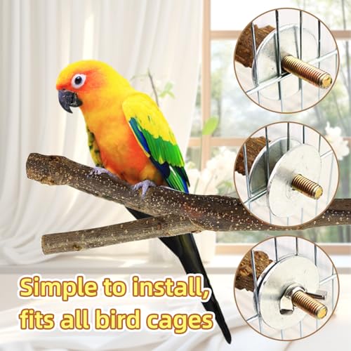 8 Piece Set Natural Wood Bird Perches