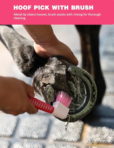 Horse Grooming Kit (Pink Garnet)